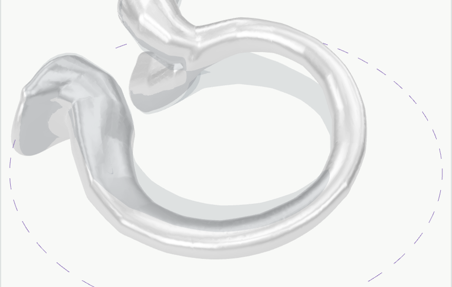 Roots ring with all three gestures applied